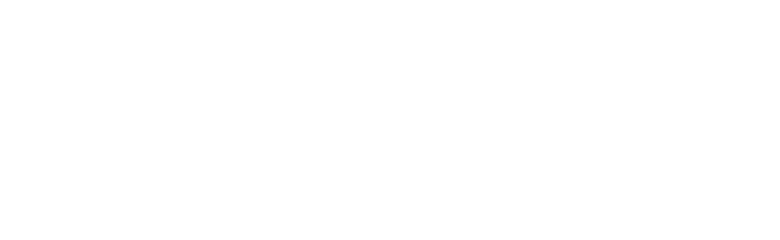 Rapid_Felveteli_Logo_Digital_White